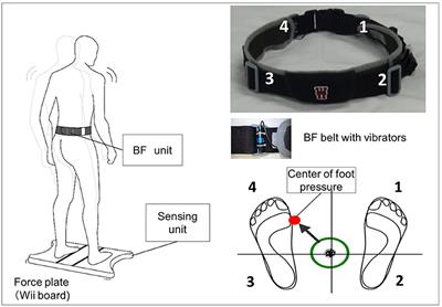 Balance Training With a <mark class="highlighted">Vibrotactile</mark> Biofeedback System Affects the Dynamical Structure of the Center of Pressure Trajectories in Chronic Stroke Patients